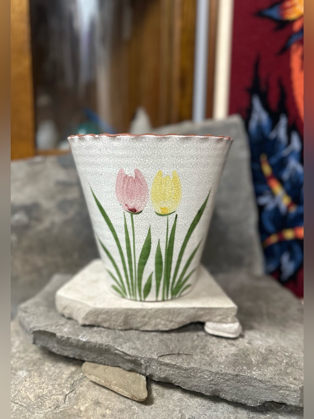 Portuguese Tulip 🌷 Terracotta Planter